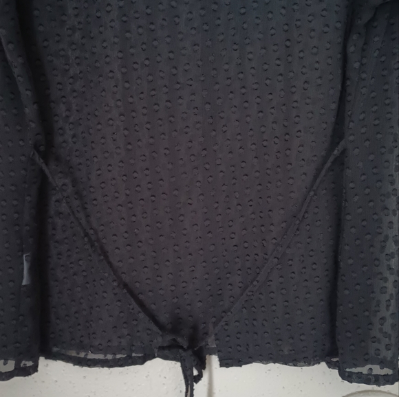 Sheer Black Button-down Blouse (XL) - Picture 7 of 7